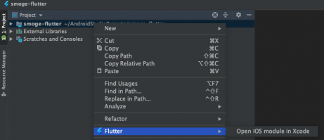 Flutter iOS setup